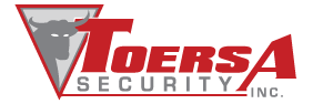 TOERSA Security Logo